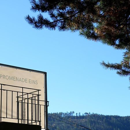 Top Five See & Bergblick - Haus Seepromenade デーブリアッハ エクステリア 写真